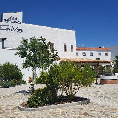 Hotel Entreolivos エル・ペドロソ エクステリア 写真