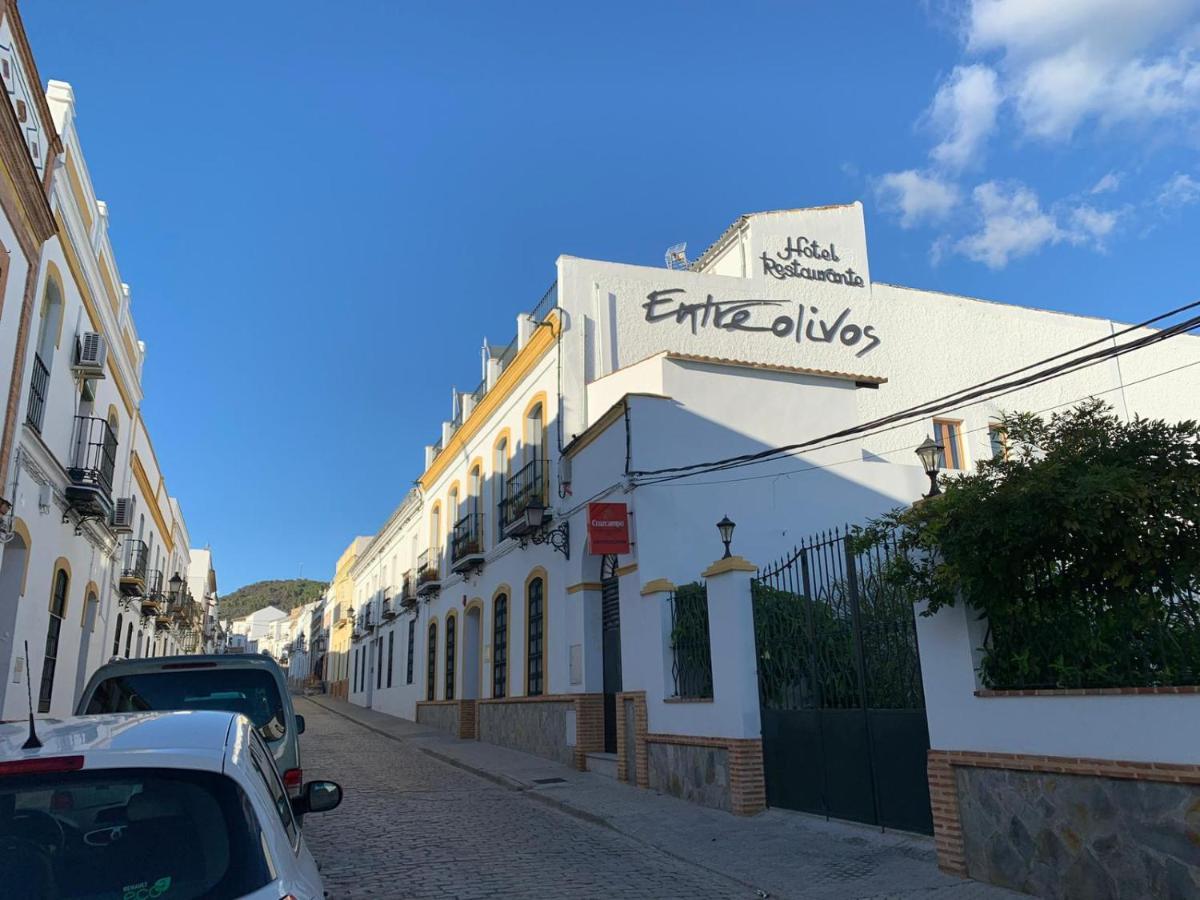 Hotel Entreolivos エル・ペドロソ エクステリア 写真