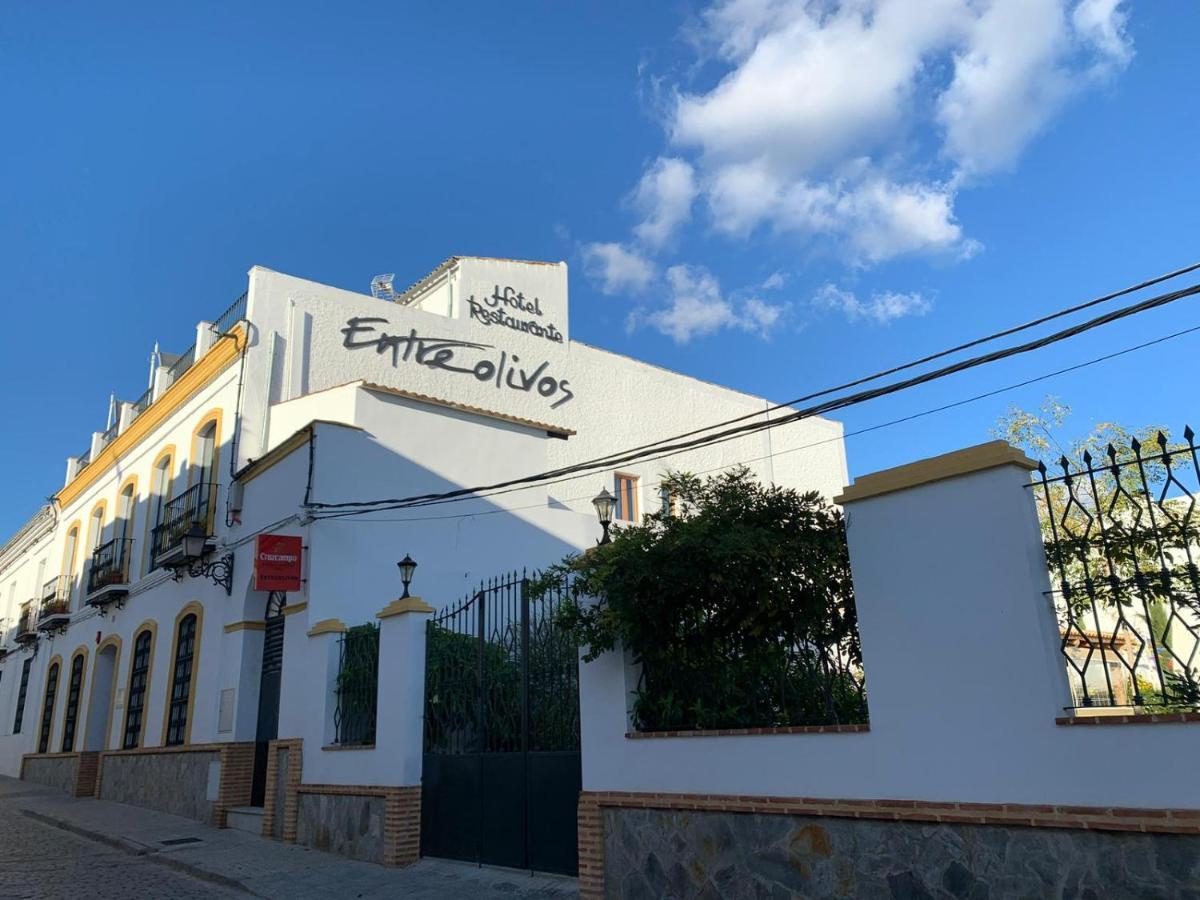 Hotel Entreolivos エル・ペドロソ エクステリア 写真