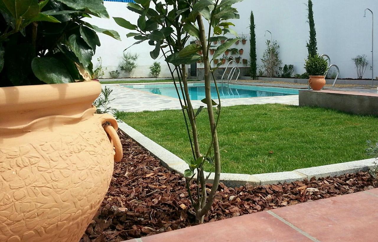 Hotel Entreolivos エル・ペドロソ エクステリア 写真