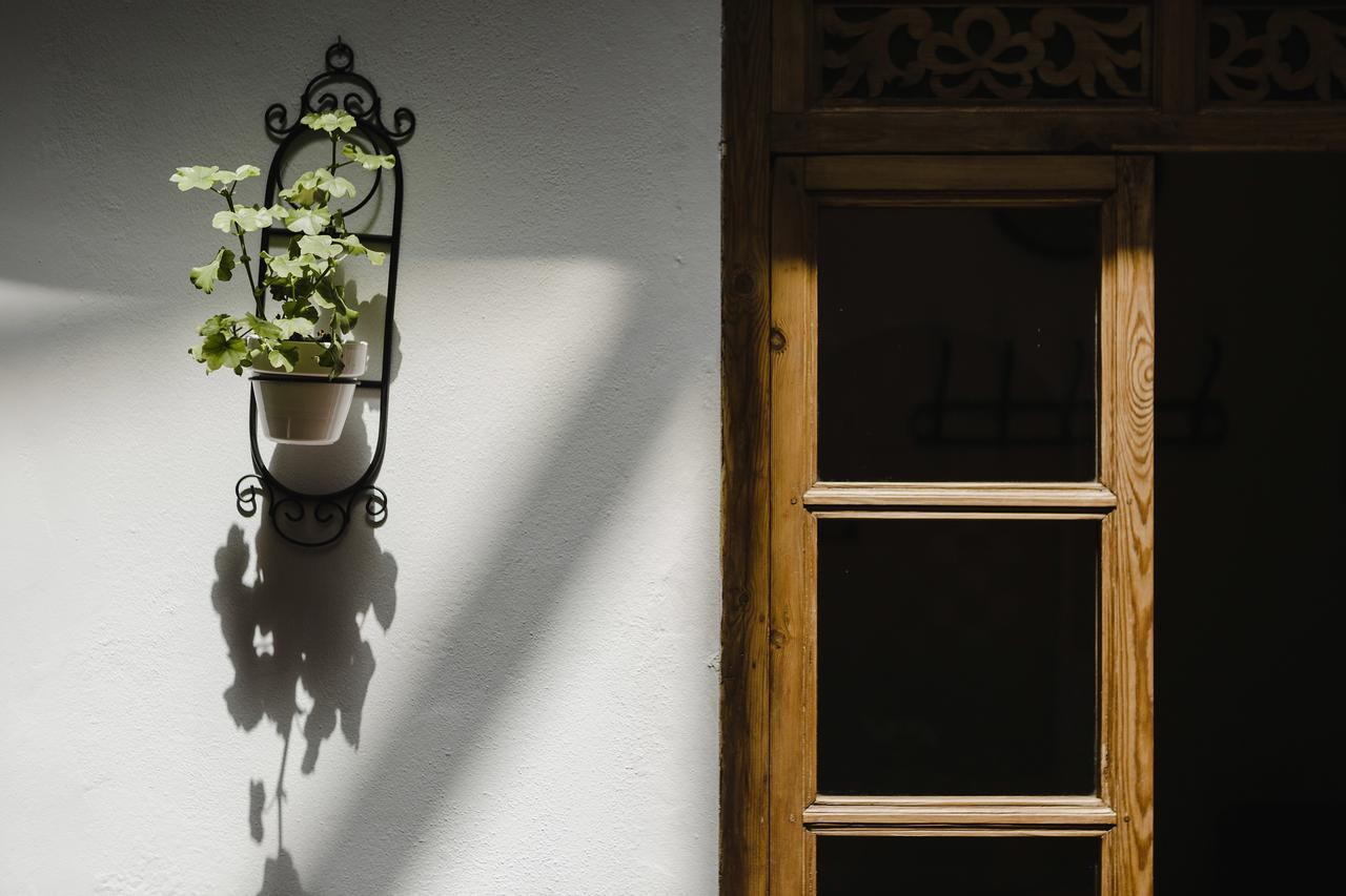 Hotel Entreolivos エル・ペドロソ エクステリア 写真