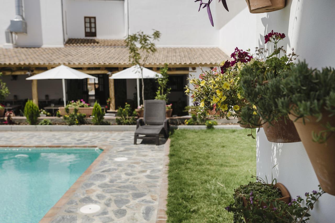 Hotel Entreolivos エル・ペドロソ エクステリア 写真