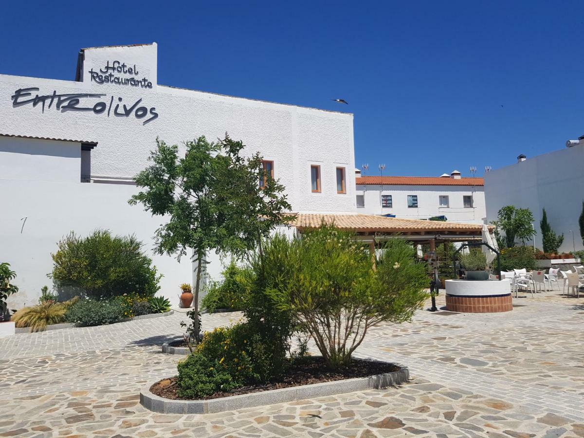Hotel Entreolivos エル・ペドロソ エクステリア 写真